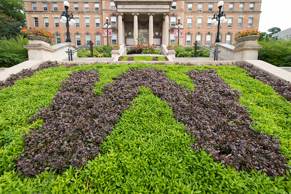 A flowerbed planted in the shape of a 
